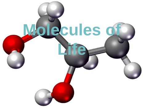 (PPT) Molecules of Life. Molecules of Life Carbohydrates –M–Monomer ...