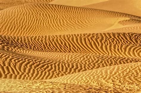 Sand Dunes Arabian Desert Stock Photo by ©ndwarraich.gmail.com 342549324