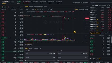 Binance Deki Bu Ai Altcoin I D N T Rk Liras Ndan Bir Anda Liraya