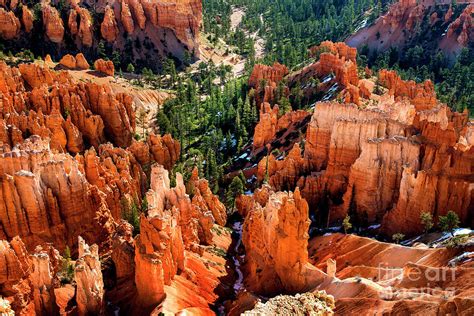 Hoodoos And Mesas From Inspiration Point Bryce Canyon National Park