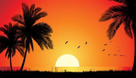 Vector Evening Beach Vector Download