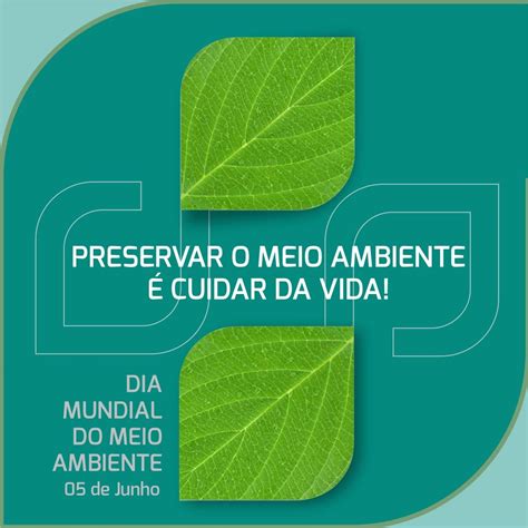 O Dia Mundial Do Meio Ambiente Foi Comemorado No Dia 05 De Junho E