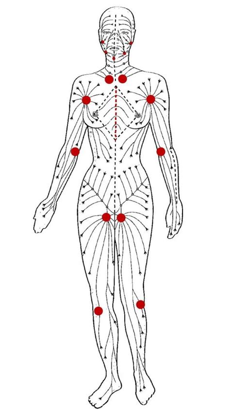 Le Drainage Lymphatique So Cocoon