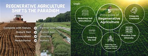 Regenerative Agriculture Its Principles And Benefits AASBLOGS