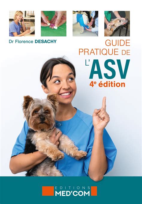 Amazon Guide Pratique De L Asv E Edition Desachy