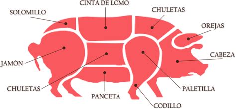 Recetas Madona M A Clasificaci N De La Carne Del Cerdo