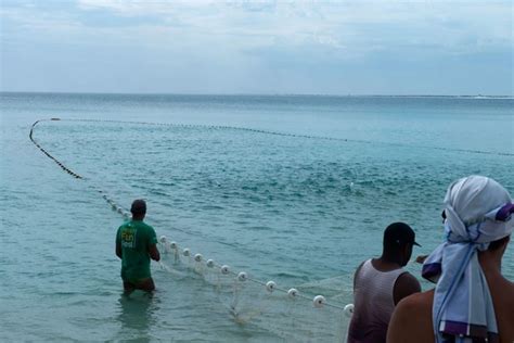 Pesca Da Tainha Tradi O Centen Ria Se Renova A Cada Ano Mar Sem Fim