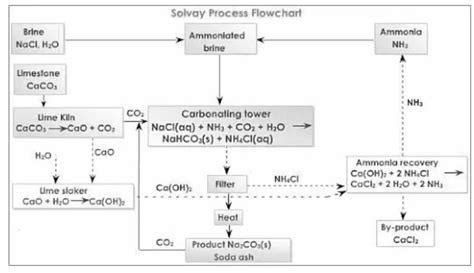 A General Study on the Chemical Reactivity of Sodium Bicarbonate with Water