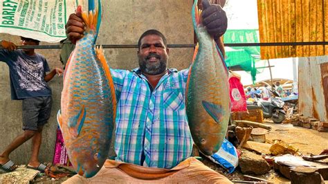 KASIMEDU MINNAL RAJA RARE PARROT FISH CUTTING IN KASIMEDU HD