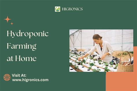 Hydroponic Farming At Home By Higronics Himedialab Issuu