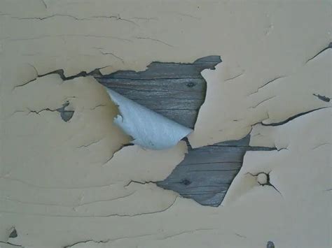 scrape paint        repaint  home