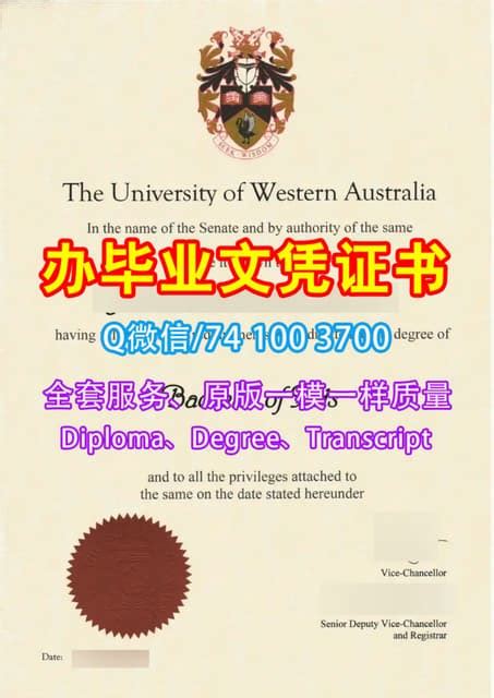 快速办理scu毕业证书澳洲南十字星大学毕业证文凭证书一模一样 Pdf