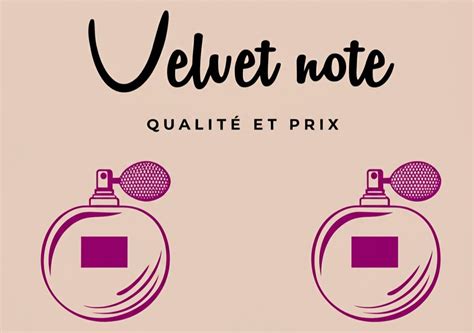 Peak Performance Swim Camp