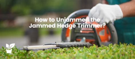 How To Unjammed The Jammed Hedge Trimmer Hedge Trimmer Repair