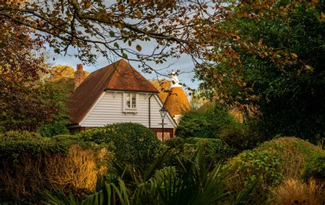 Overgrown Trees Roof Damage Find Tree Care Solutions