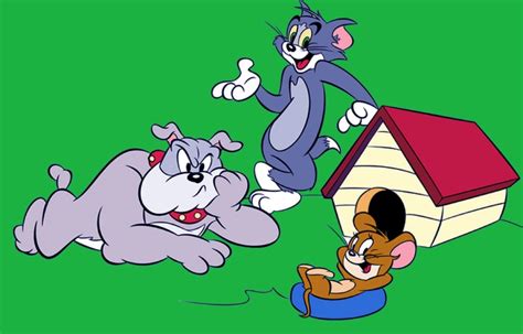 Cuál es el nombre del perro de Tom y Jerry Sooluciona