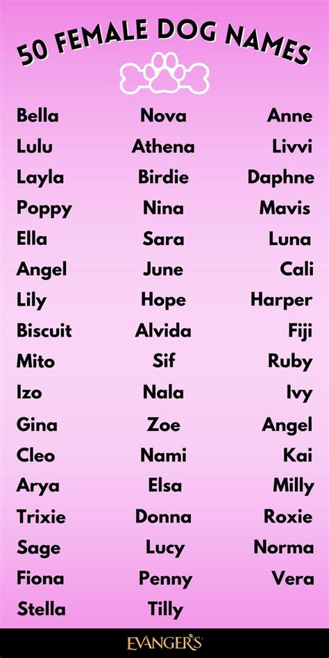 50 Great Female Dog Names Artofit