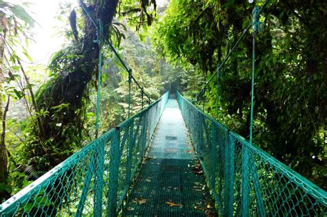 Monteverde Extremo Park In Costa Rica Bungee Jumping