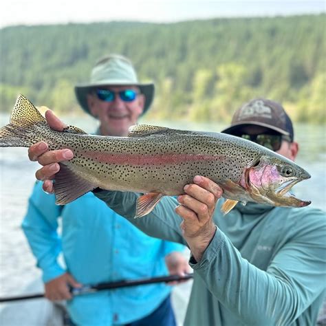 South Fork Of The Snake River Fishing Report 8124 The Lodge At