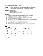 Copy Of Part Iii Loss Of Cell Cycle Control In Control Part Iii