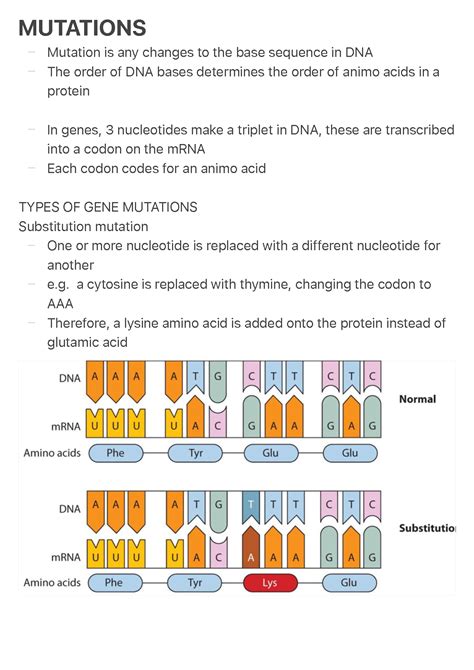 Genetic Mutation Types