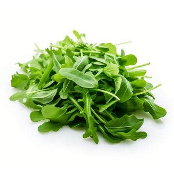 "Arugula Leaves" Images – Browse 780 Stock Photos, Vectors, and Video ...