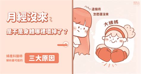 【大象醫師 周維薪】認識女性私密處—陰道介紹 問8健康諮詢