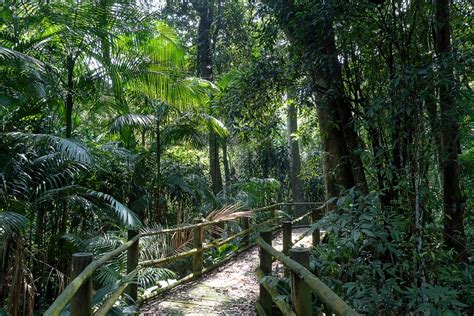 Trilhas Em Sao Paulo - Trilhas em São Paulo: as melhores trilhas em SP | Skyscanner