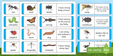 FREE! - Minibeast Description Cards (teacher made)