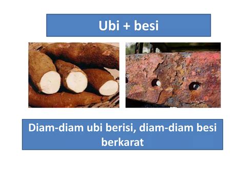 Latihan Peribahasa Bergambar Pt Ppt