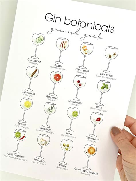 Gin Garnish Guide Gin Botanicals Gin Print Gin Poster Gin - Etsy UK