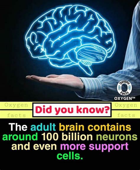 interesting facts random fun facts   wow