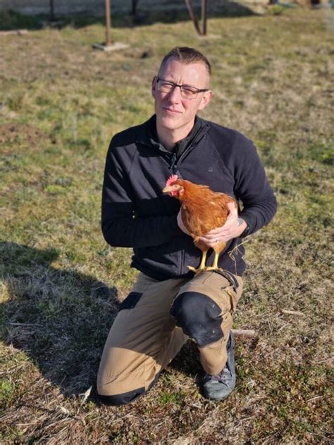 Fabien Cridelich Notre Basse Cour Elevage De Poules Pondeuses