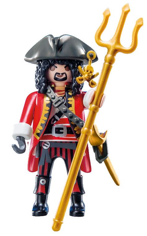 Capitaine Pirate Personnage Playmobil Figures S Rie