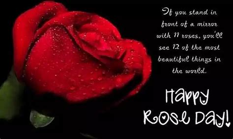 50+ Amazing Rose Day Messages for Friends 2024 - QuotesProject.Com