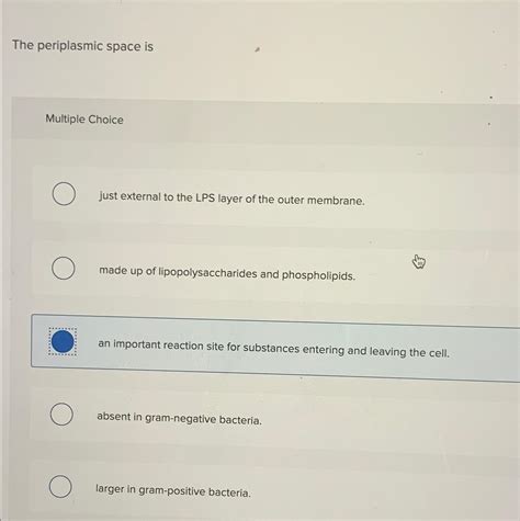 Solved The periplasmic space isMultiple Choicejust external | Chegg.com