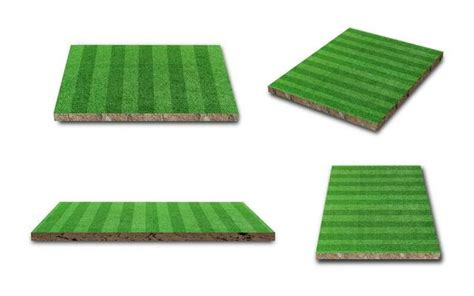 Grass Perspective Stock Photos, Images and Backgrounds for Free Download