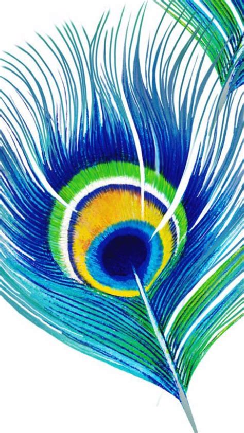 Peacock In 2024 Feather Art Drawing Small Canvas Art Nature Art