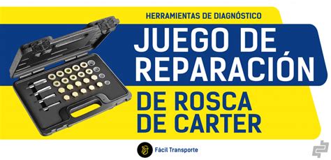 Juego De Reparaci N De Rosca De Carter Bp Ecuador