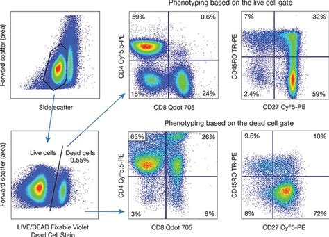 Best Practices For Multiparametric Flow Cytometry Thermo Fisher