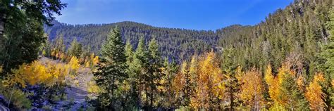 Foxtail Canyon Springs Lee Canyon Nv Las Vegas Area Trails