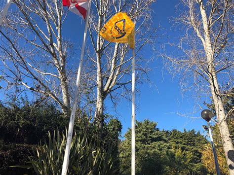 A JUNTA ESTEVE PRESENTE Hastear Da Bandeira Da Qualidade No Complexo