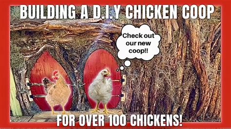 Building A Diy Chicken Coop For 100 Chickens Youtube