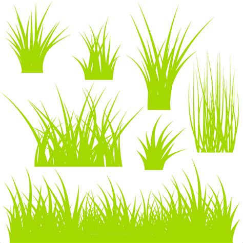 Tall Grass Vector at GetDrawings | Free download