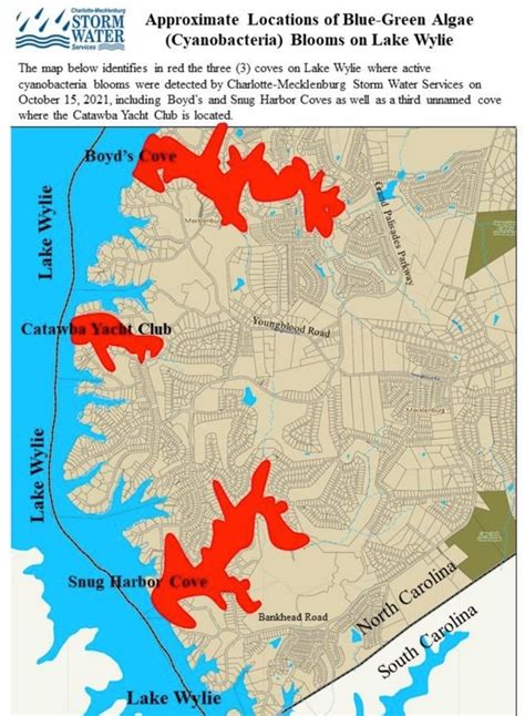 Coves On Lake Wylie Tests Positive For Blue Green Algae Wccb