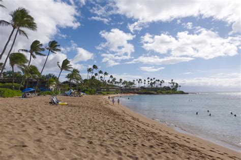 Napili Bay Snorkeling Guide - Maui Hideaway