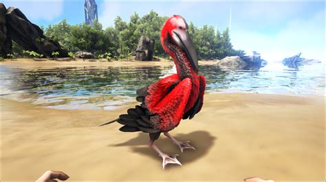 Ichthyornis Official Ark Survival Evolved Wiki