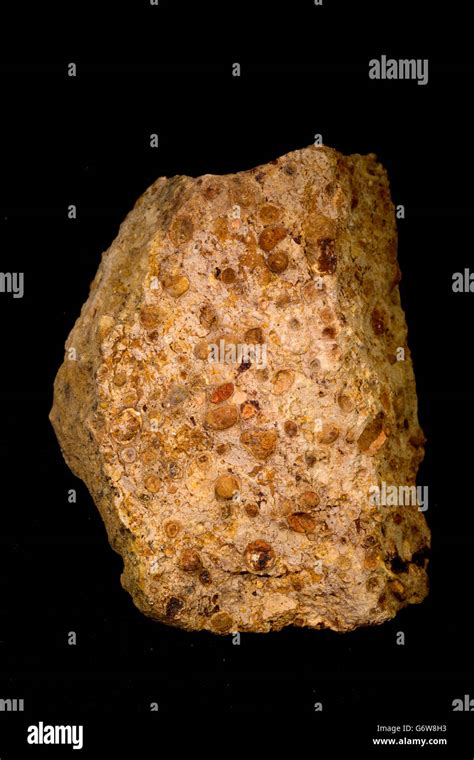 Gibbsite, (bauxite), Bauxite, Arkansas, USA, ore of aluminum, sedimentary rock, pisolitic Stock ...