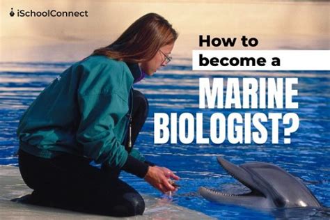 Marine Biologist Learn How To Become The Best In This Field