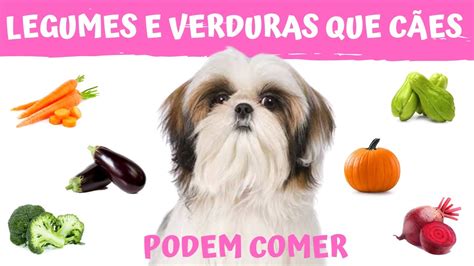 Quais S O Os Legumes E Verduras Que Os C Es Podem Comer Youtube